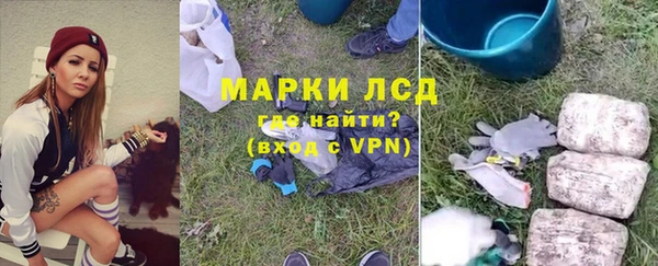 индика Алексеевка