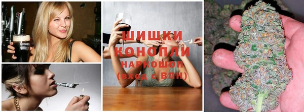 индика Алексеевка