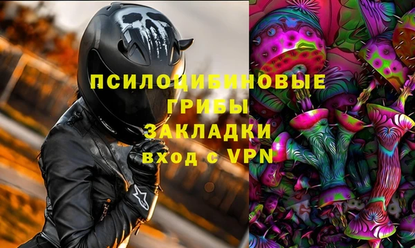 стаф Приозерск